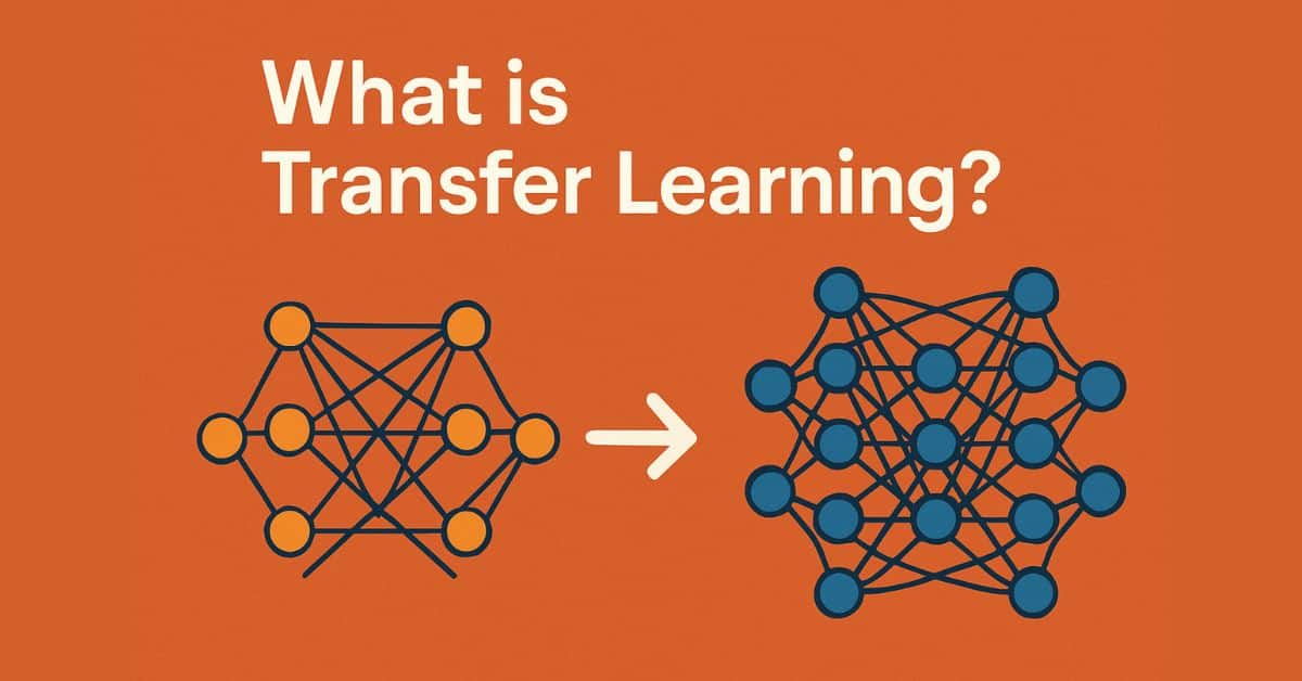What is Transfer Learning?