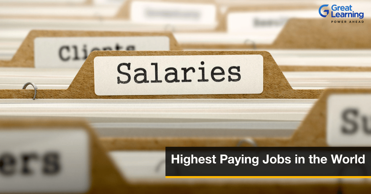 Highest Paying Jobs in the World