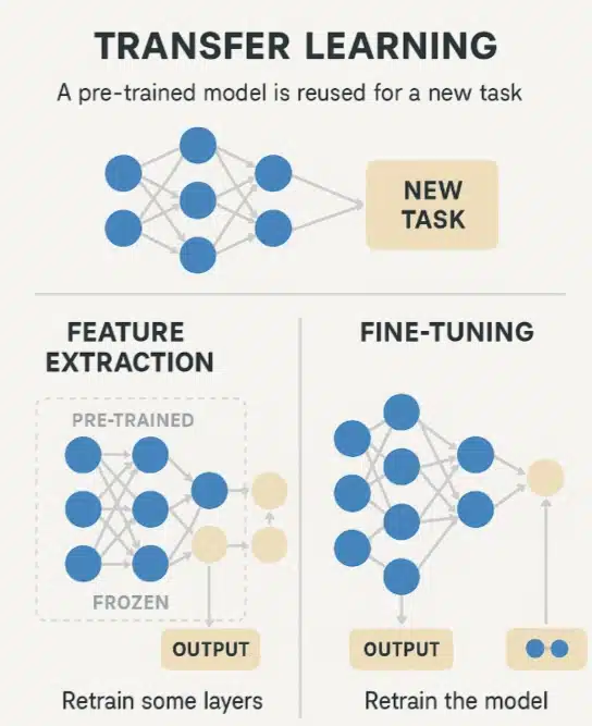 How Transfer Learning Works